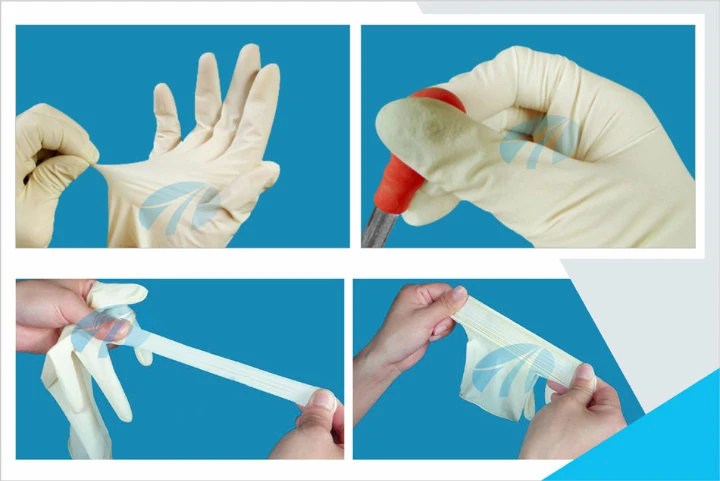 Malaysia Natural Rubber Disposable Examination Latex Gloves Free Samples